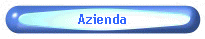 Azienda